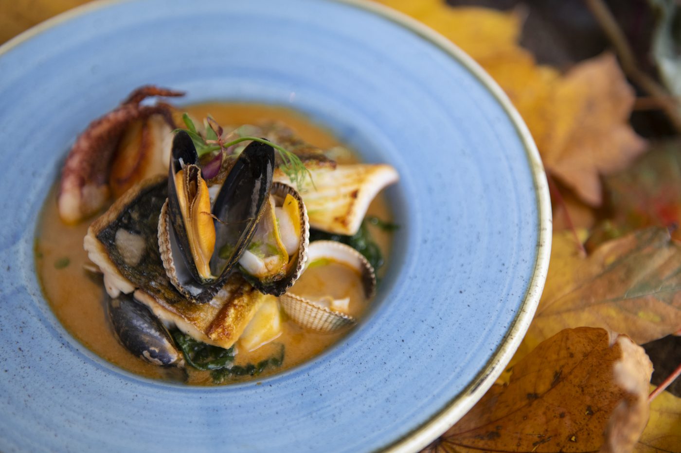 Bouillabaisse — local fish and shellfish in broth, served at Petit Pois